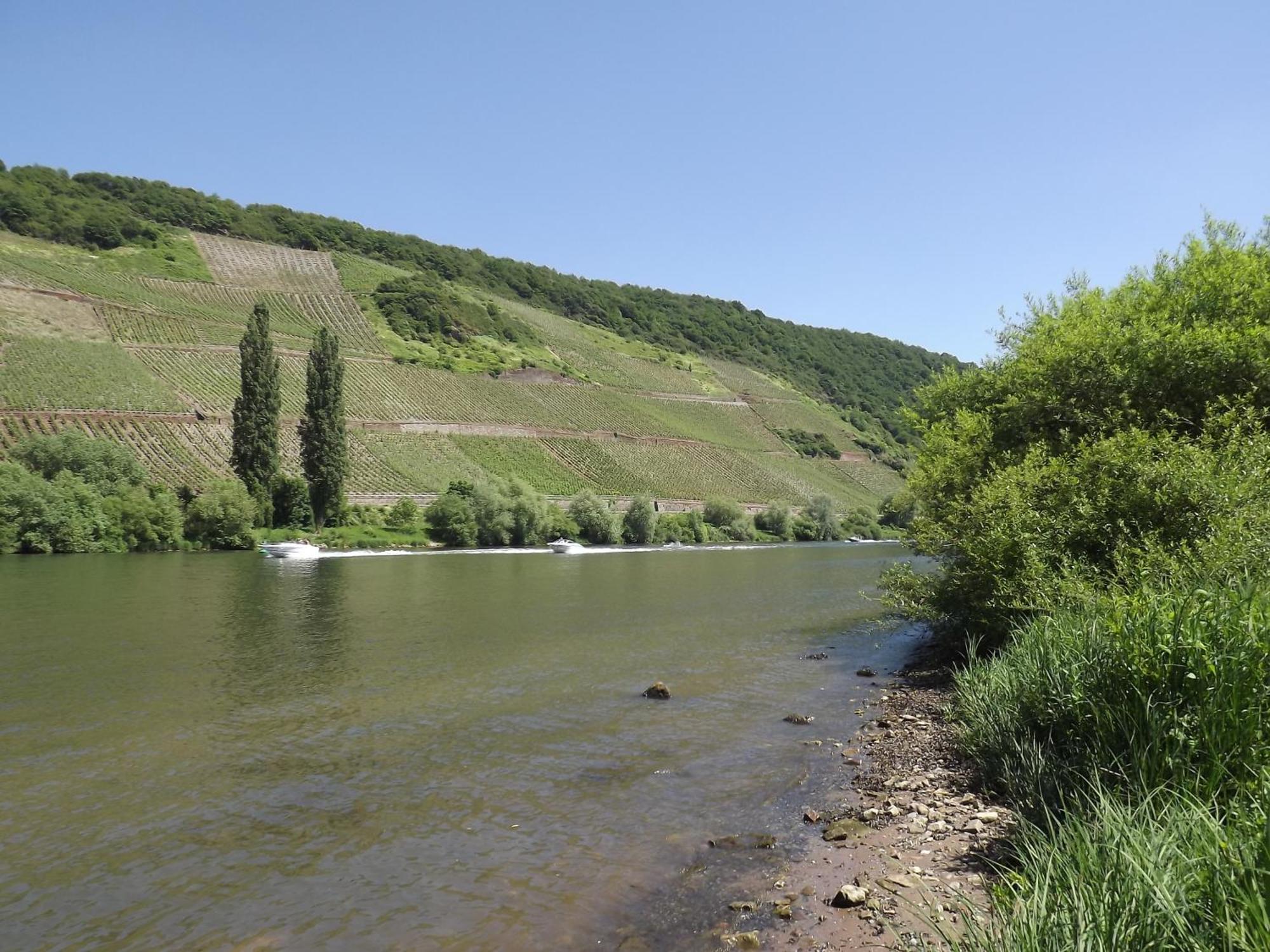Ferienweingut Winnebeck Kowerich Номер фото