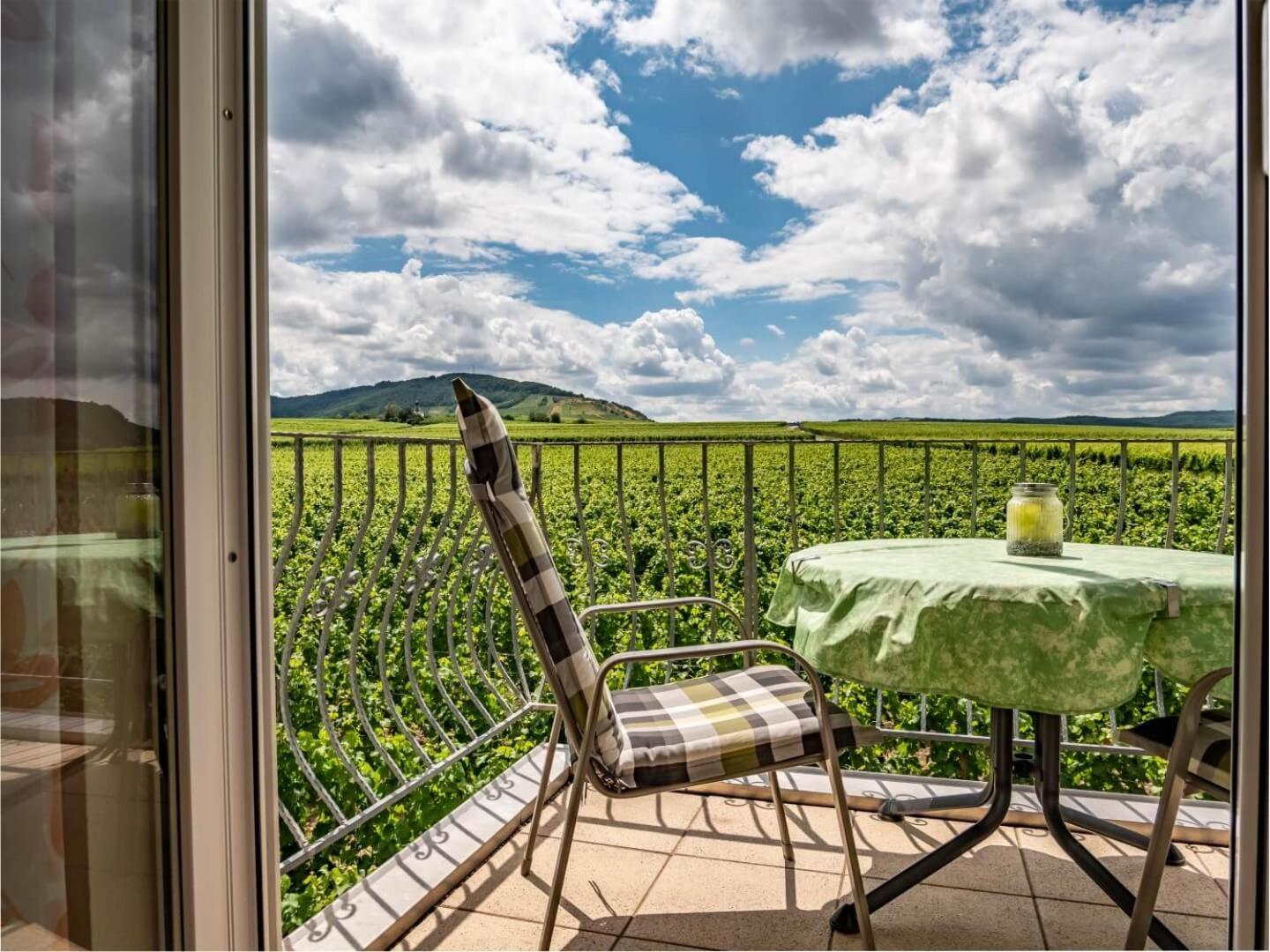 Ferienweingut Winnebeck Kowerich Екстер'єр фото
