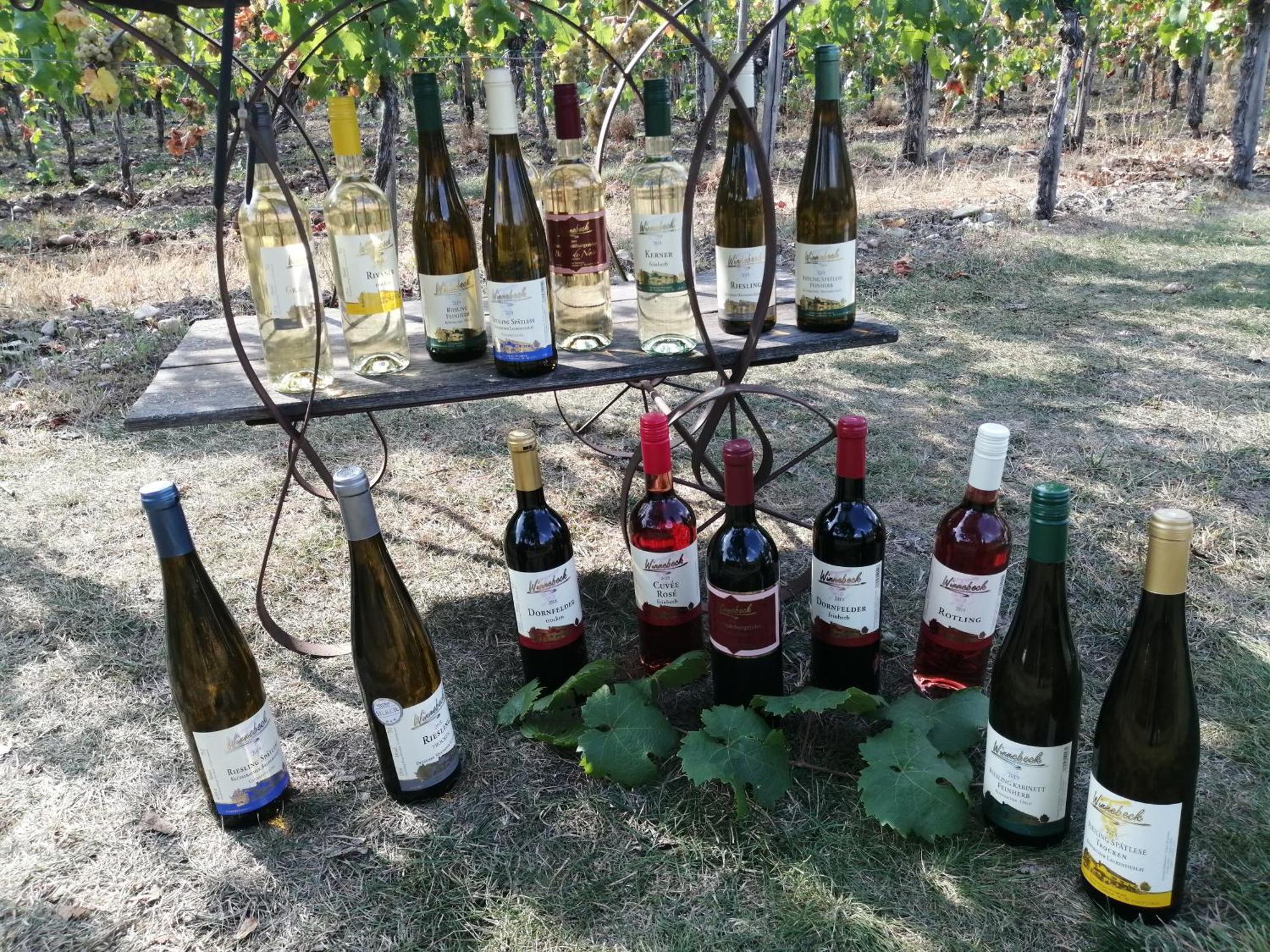 Ferienweingut Winnebeck Kowerich Екстер'єр фото