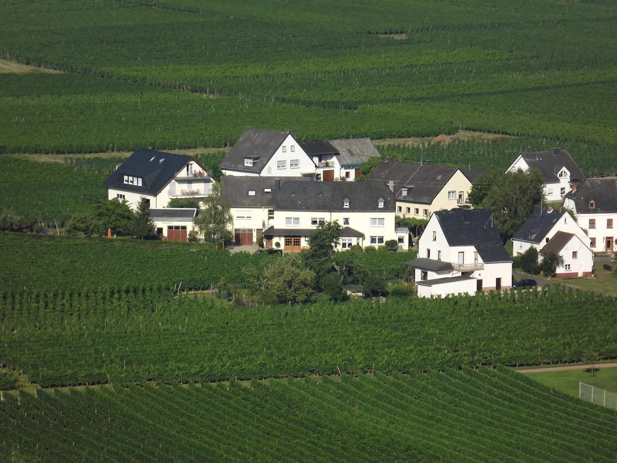Ferienweingut Winnebeck Kowerich Номер фото