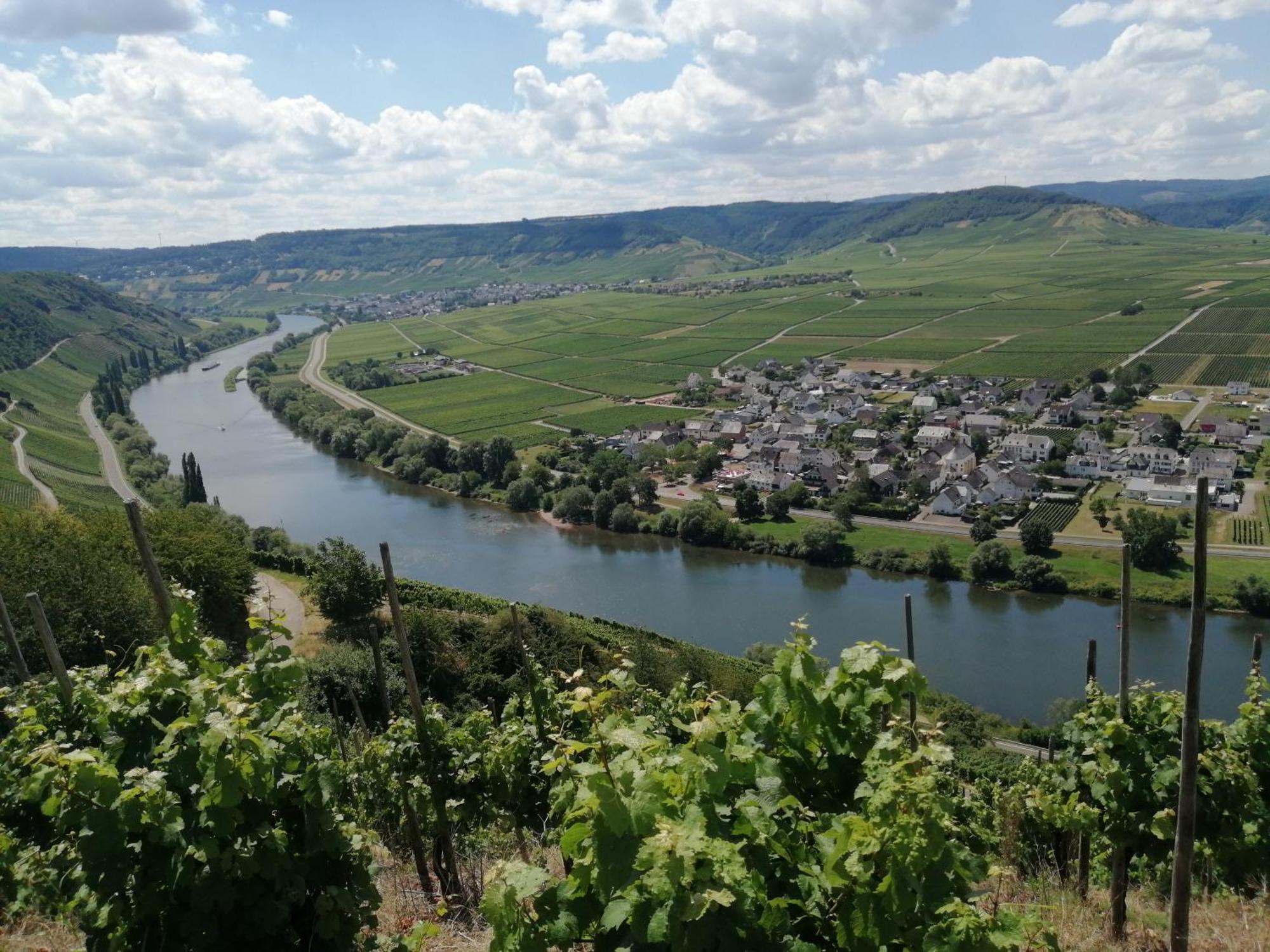 Ferienweingut Winnebeck Kowerich Екстер'єр фото