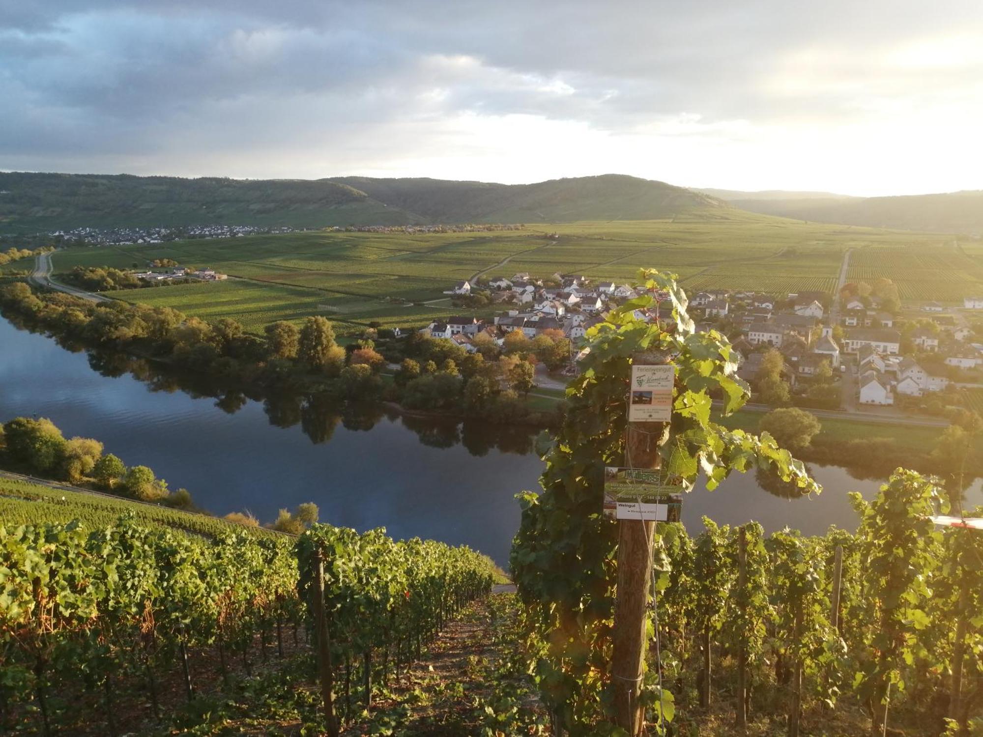 Ferienweingut Winnebeck Kowerich Екстер'єр фото