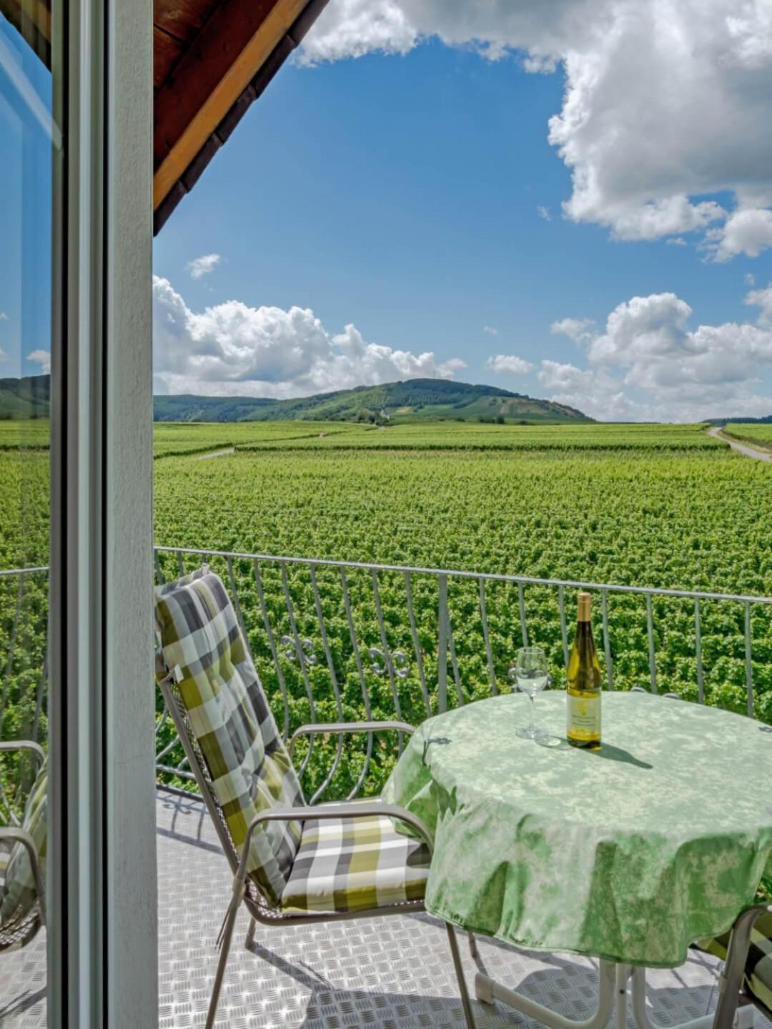 Ferienweingut Winnebeck Kowerich Екстер'єр фото