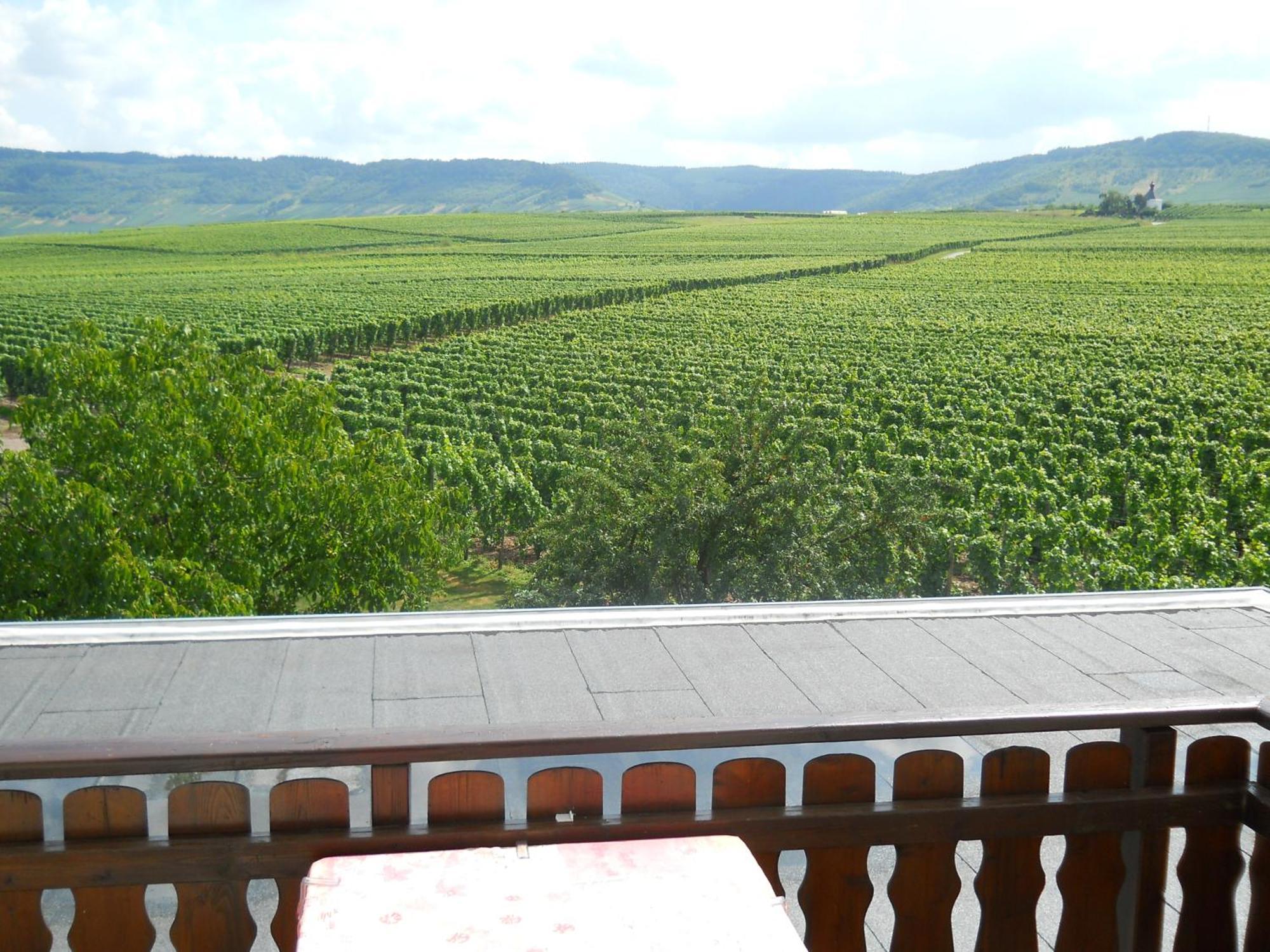 Ferienweingut Winnebeck Kowerich Екстер'єр фото